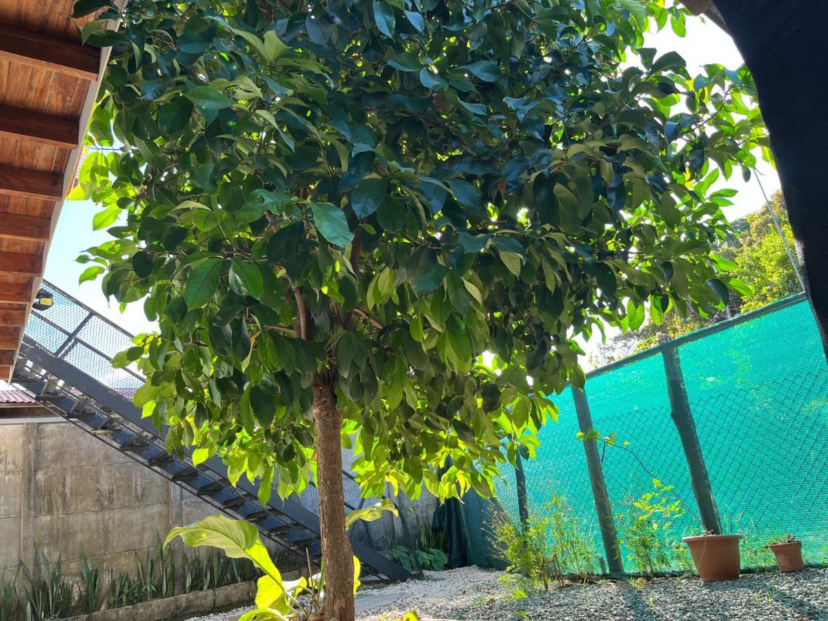 Apartamento Mango Y Cafe Lagunilla  Exterior photo